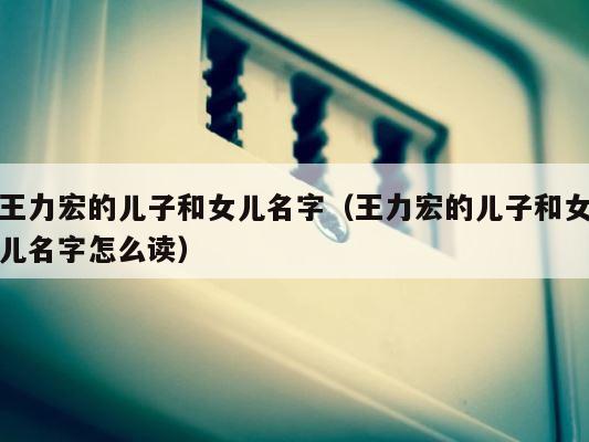 王力宏的儿子和女儿名字（王力宏的儿子和女儿名字怎么读） 第1张