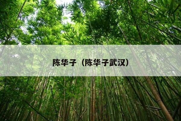 陈华子（陈华子武汉） 第1张