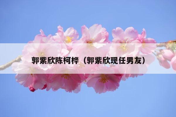 郭紫欣陈柯桦（郭紫欣现任男友） 第1张