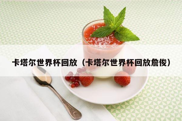 卡塔尔世界杯回放（卡塔尔世界杯回放詹俊） 第1张