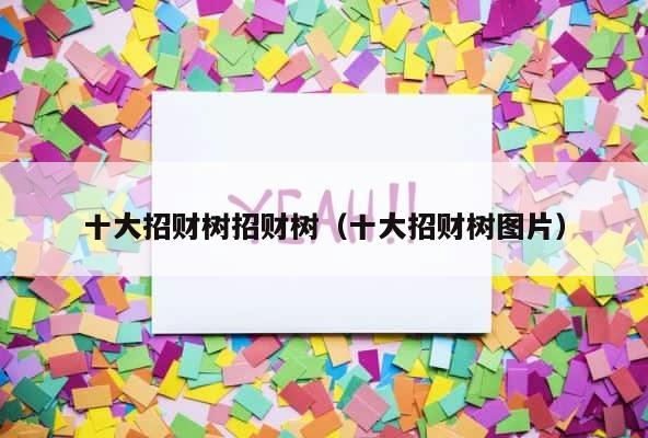 十大招财树招财树（十大招财树图片） 第1张