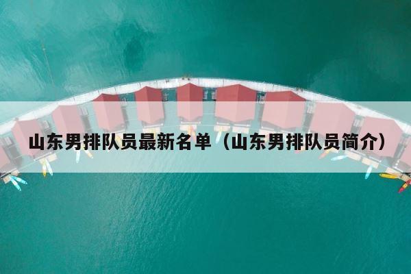 山东男排队员最新名单（山东男排队员简介） 第1张