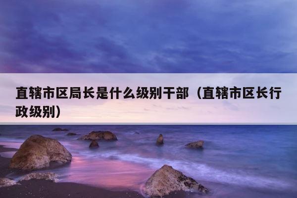 直辖市区局长是什么级别干部（直辖市区长行政级别） 第1张