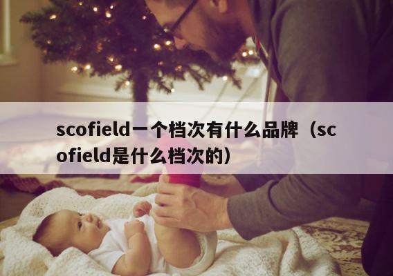 scofield一个档次有什么品牌（scofield是什么档次的） 第1张