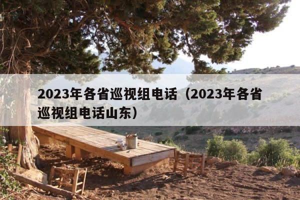 2023年各省巡视组电话（2023年各省巡视组电话山东） 第1张