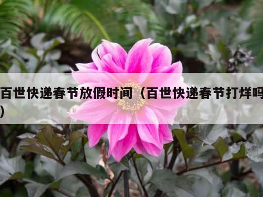 百世快递春节放假时间（百世快递春节打烊吗） 第1张