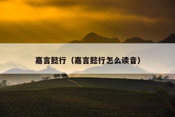 嘉言懿行（嘉言懿行怎么读音） 第1张