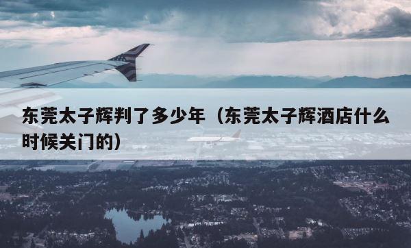 东莞太子辉判了多少年（东莞太子辉酒店什么时候关门的） 第1张
