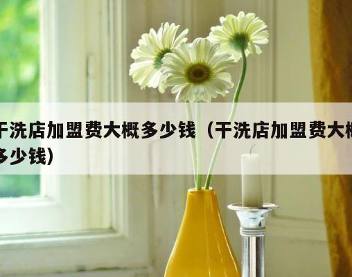 干洗店加盟费大概多少钱（干洗店加盟费大概多少钱） 第1张