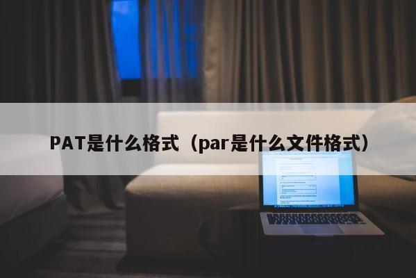 PAT是什么格式（par是什么文件格式） 第1张