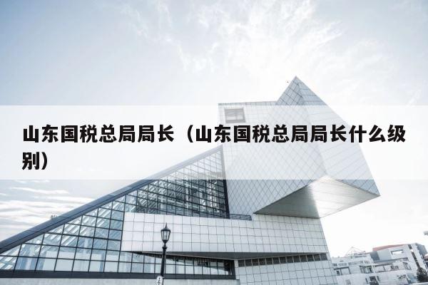 山东国税总局局长（山东国税总局局长什么级别） 第1张