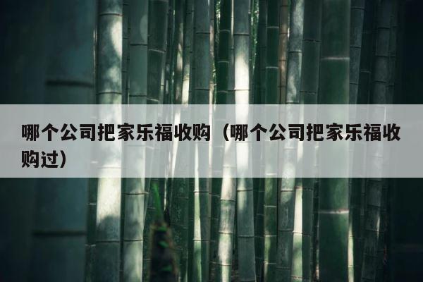 哪个公司把家乐福收购（哪个公司把家乐福收购过） 第1张