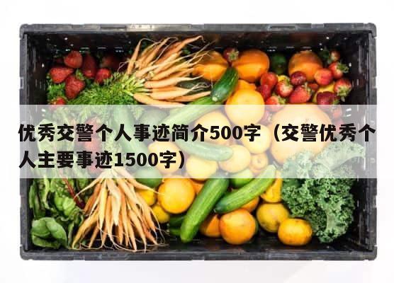 优秀交警个人事迹简介500字（交警优秀个人主要事迹1500字） 第1张