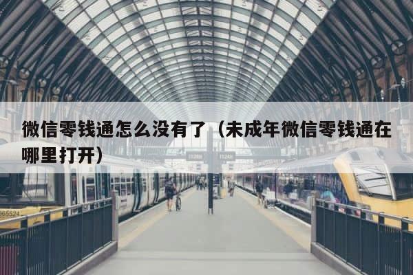 微信零钱通怎么没有了（未成年微信零钱通在哪里打开） 第1张