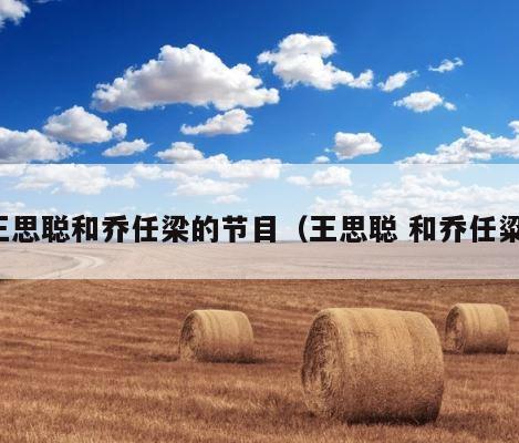 王思聪和乔任梁的节目（王思聪 和乔任粱） 第1张