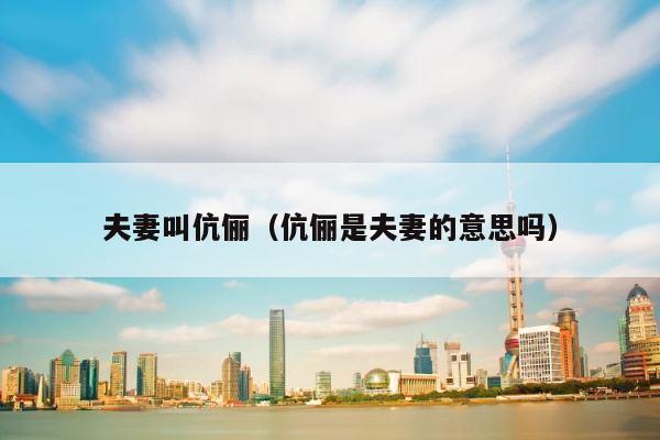 夫妻叫伉俪（伉俪是夫妻的意思吗） 第1张