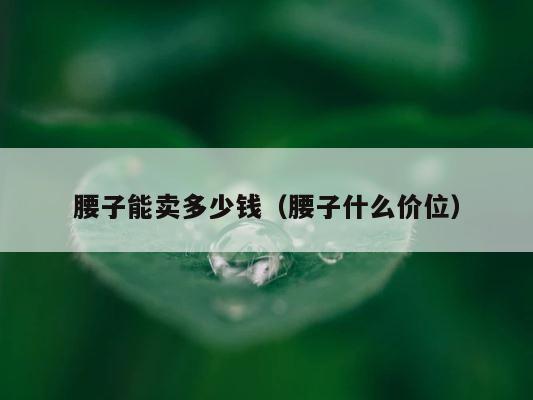 腰子能卖多少钱（腰子什么价位） 第1张
