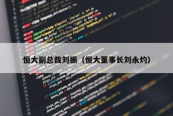 恒大副总裁刘振（恒大董事长刘永灼） 第1张