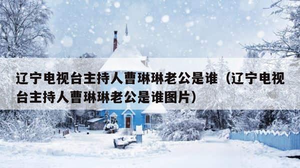 辽宁电视台主持人曹琳琳老公是谁（辽宁电视台主持人曹琳琳老公是谁图片） 第1张