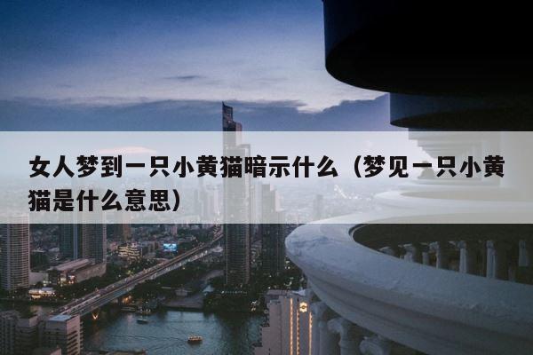 女人梦到一只小黄猫暗示什么（梦见一只小黄猫是什么意思） 第1张