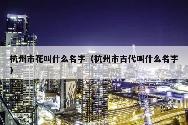 杭州市花叫什么名字（杭州市古代叫什么名字） 第1张