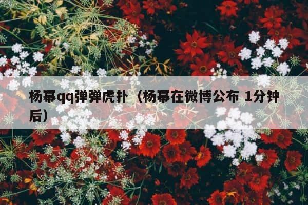 杨幂qq弹弹虎扑（杨幂在微博公布 1分钟后） 第1张