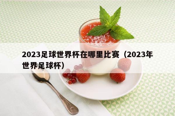 2023足球世界杯在哪里比赛（2023年世界足球杯） 第1张