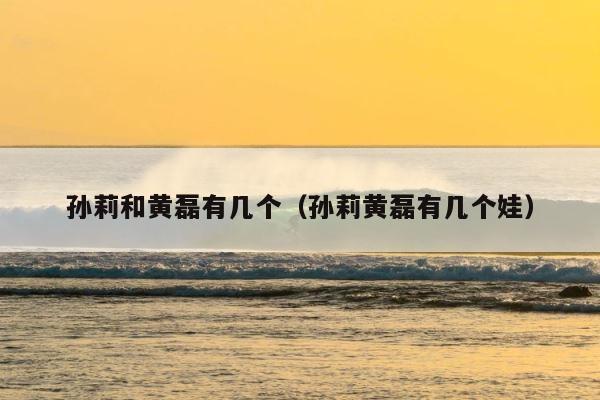 孙莉和黄磊有几个（孙莉黄磊有几个娃） 第1张