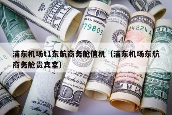 浦东机场t1东航商务舱值机（浦东机场东航商务舱贵宾室） 第1张