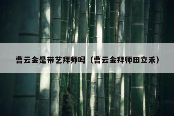 曹云金是带艺拜师吗（曹云金拜师田立禾） 第1张