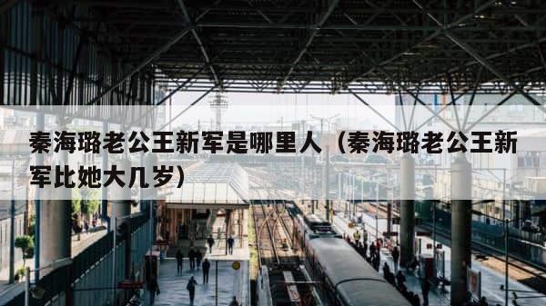 秦海璐老公王新军是哪里人（秦海璐老公王新军比她大几岁） 第1张