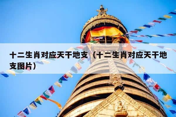 十二生肖对应天干地支（十二生肖对应天干地支图片） 第1张