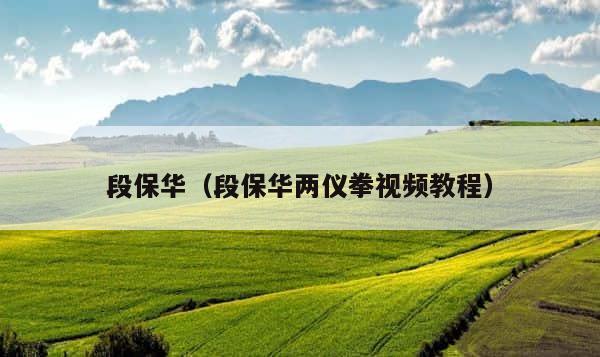 段保华（段保华两仪拳视频教程） 第1张