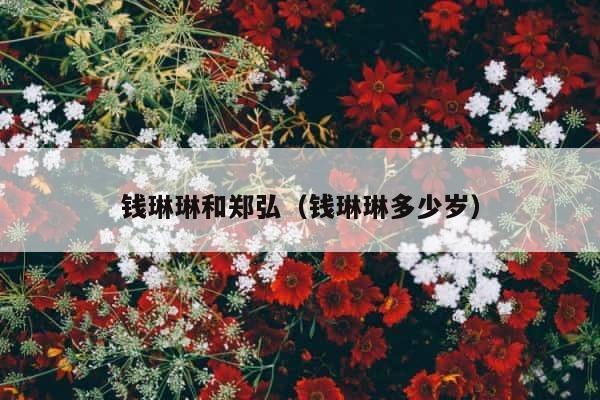 钱琳琳和郑弘（钱琳琳多少岁） 第1张