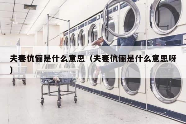 夫妻伉俪是什么意思（夫妻伉俪是什么意思呀） 第1张