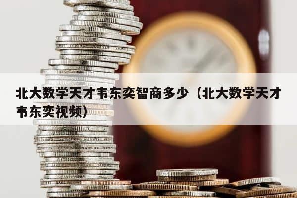 北大数学天才韦东奕智商多少（北大数学天才韦东奕视频） 第1张