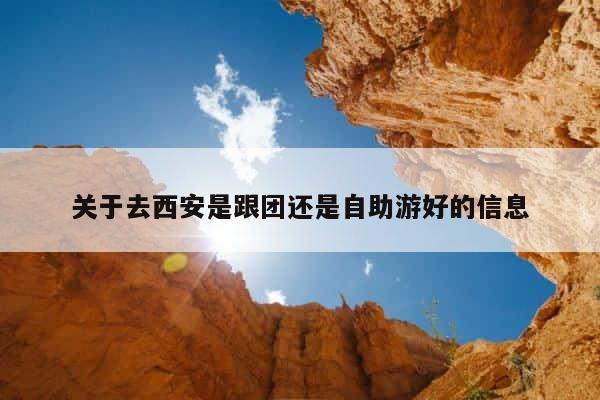 关于去西安是跟团还是自助游好的信息 第1张