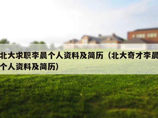 北大求职李晨个人资料及简历（北大奇才李晨个人资料及简历） 第1张