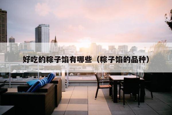 好吃的粽子馅有哪些（粽子馅的品种） 第1张
