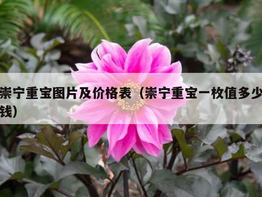崇宁重宝图片及价格表（崇宁重宝一枚值多少钱） 第1张