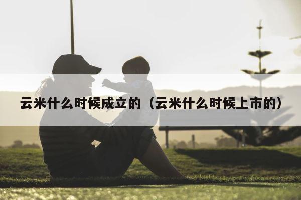 云米什么时候成立的（云米什么时候上市的） 第1张