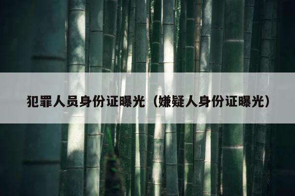 犯罪人员身份证曝光（嫌疑人身份证曝光） 第1张