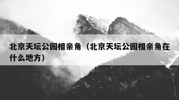北京天坛公园相亲角（北京天坛公园相亲角在什么地方） 第1张