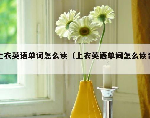 上衣英语单词怎么读（上衣英语单词怎么读音） 第1张