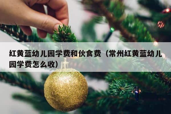 红黄蓝幼儿园学费和伙食费（常州红黄蓝幼儿园学费怎么收） 第1张