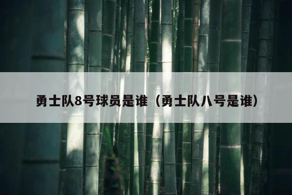 勇士队8号球员是谁（勇士队八号是谁） 第1张