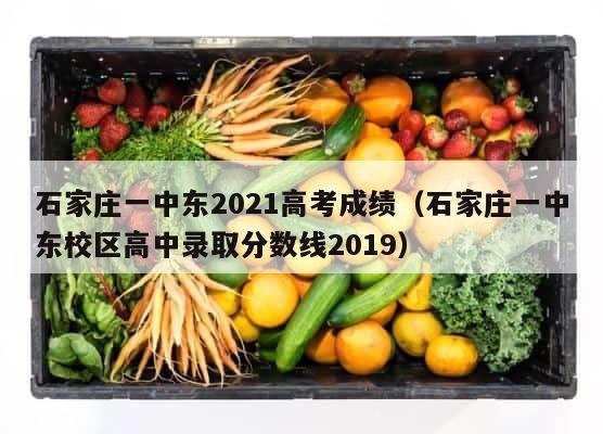 石家庄一中东2021高考成绩（石家庄一中东校区高中录取分数线2019） 第1张