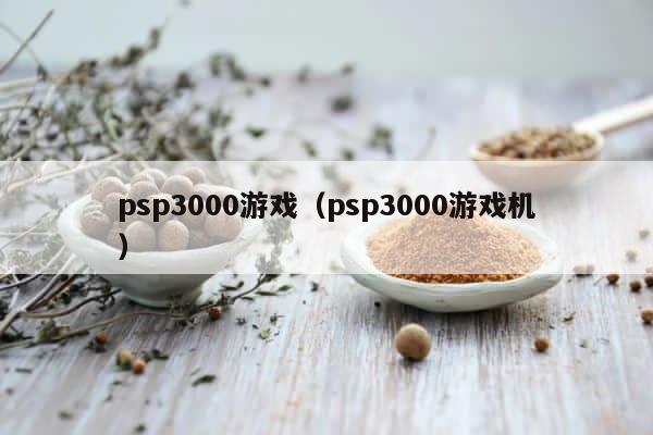 psp3000游戏（psp3000游戏机） 第1张