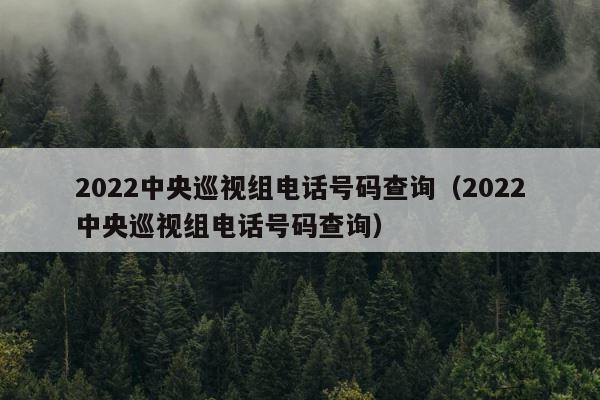 2022中央巡视组电话号码查询（2022中央巡视组电话号码查询） 第1张