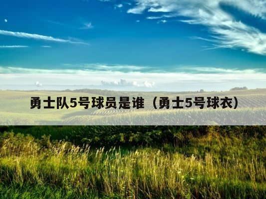 勇士队5号球员是谁（勇士5号球衣） 第1张